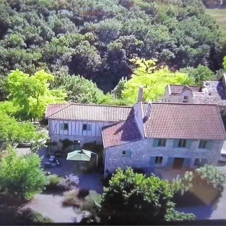 - Mas De Campagne Prestigieux- Authentic French In Dream Countryside Algans