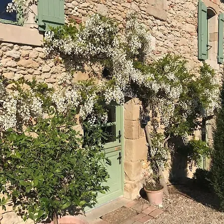 - Mas De Campagne Prestigieux- Authentic French In Dream Countryside Feriehus Algans